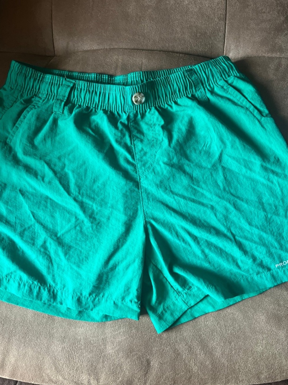 Teal Elastic-Waist Shorts
